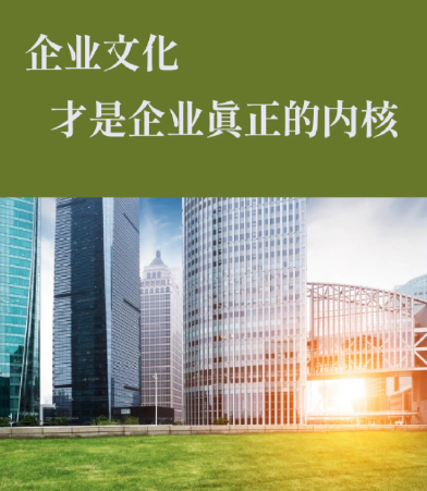 2026年企业官网建设趋势：视觉设计与SEO优化的融合实践